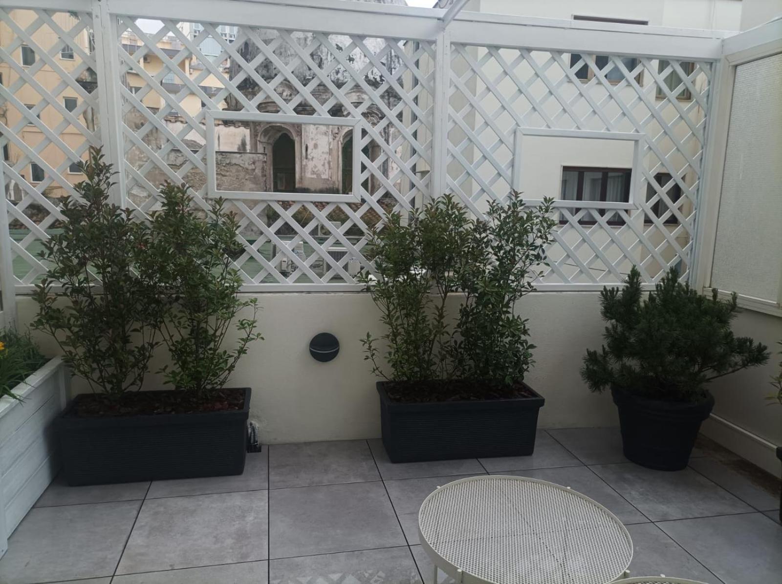 Domus Cervantes Apartment Napoli Eksteriør billede